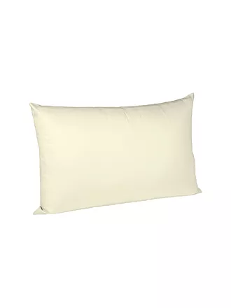 FLEURESSE | Housse de coussin en satin Royal Uni lot de 2 70x90cm vert clair | beige